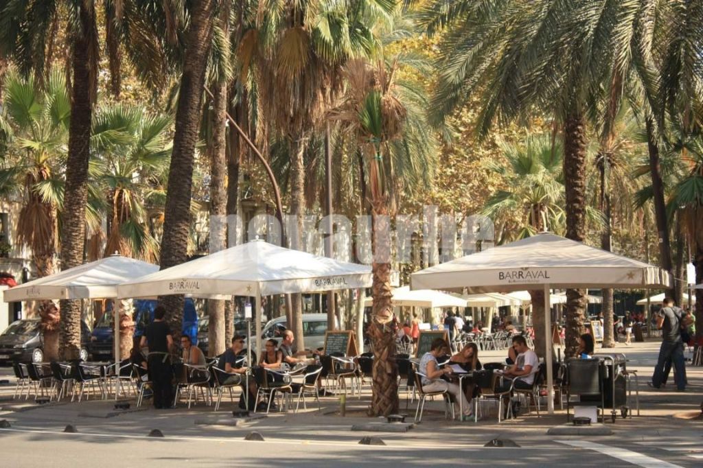 Ático Estudio Reformado en el Corazón de El Raval