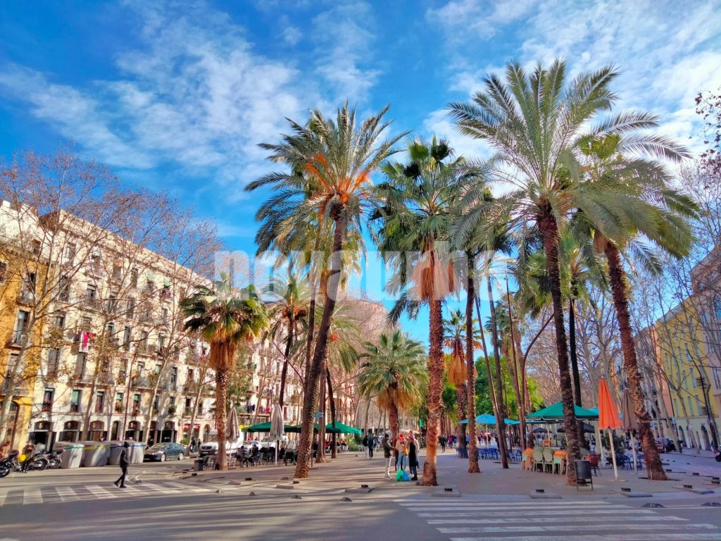 Ático Estudio Reformado en el Corazón de El Raval