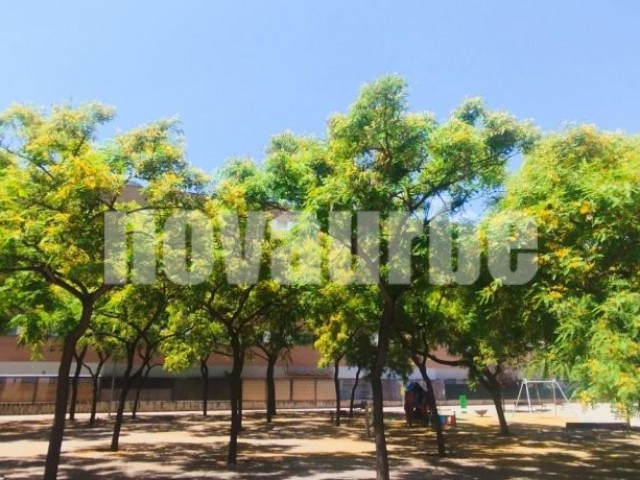 DIAGONAL MAR!!